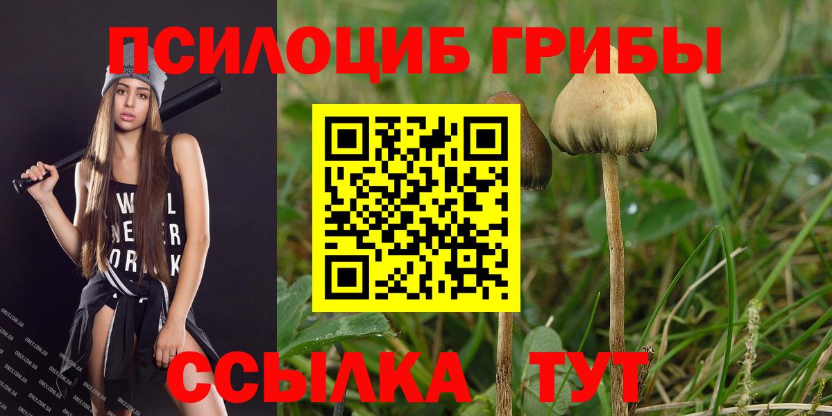 Галлюциногенные грибы прущие грибы Новоуральск