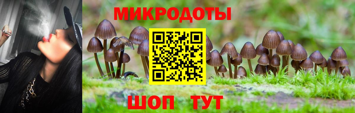 Новоуральск  Галлюциногенные грибы GOLDEN TEACHER  где продают   Вход с VPN 